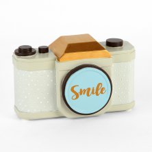 Vintage Boutique Camera 'Smile'  Money Box